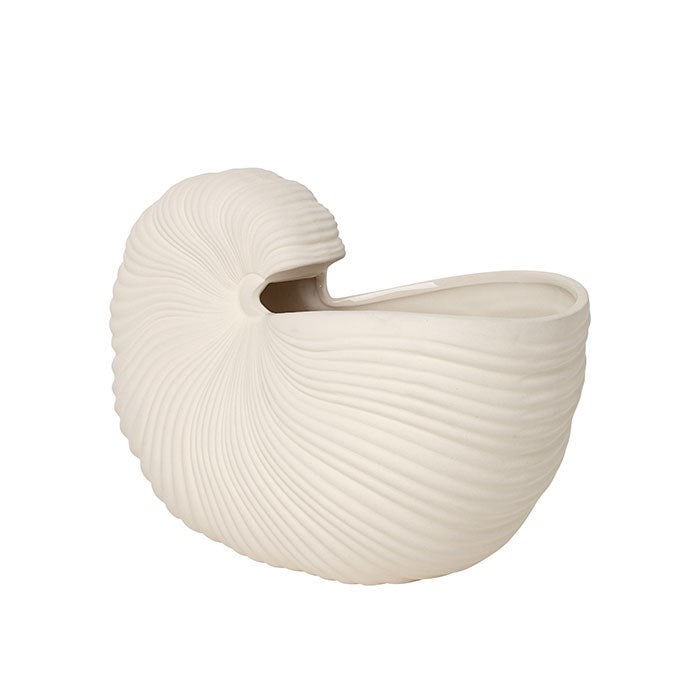 Vaso Conchiglia